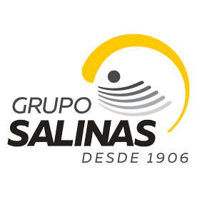 Grupo Salinas logo